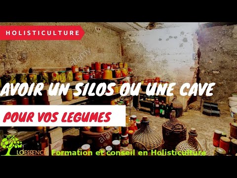 Vidéo: Stockage De Légumes. Préparation Au Stockage. Maladies. Cave