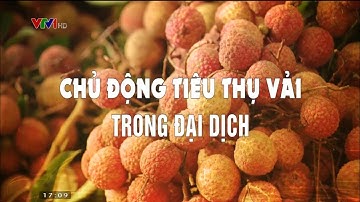 Nông dân chủ động tiêu thụ vải thiều trong mùa dịch Covid 19
