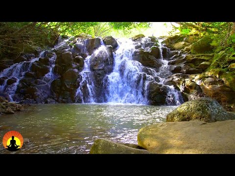 🔴 Relaxing Piano Music 24/7, Beautiful Relaxing Music, Sleep Music, Meditation Music, Study Music