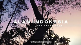 Isolasi Alkaloid Perjalanan Memperoleh Senyawa Alam