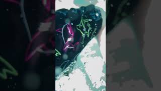 IMG 0089