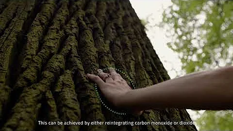 A Green Deal on Steel: Smart Carbon Usage