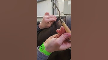 How To Make A Button Braid On A Horse 🐎 #shorts