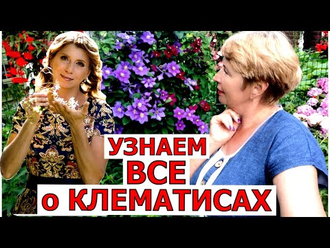 Все  о КЛЕМАТИСАХ со Светланой Александровой. Запись Прямого эфира из телеграмм