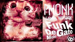 Loomie, HXVSAGE - Funk De Gato Mobo / Phonk 2024 / #phonk