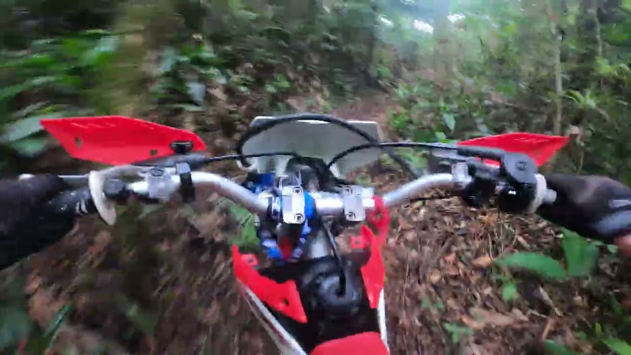 Trilha de sábado com o Grupo Barro na Veia