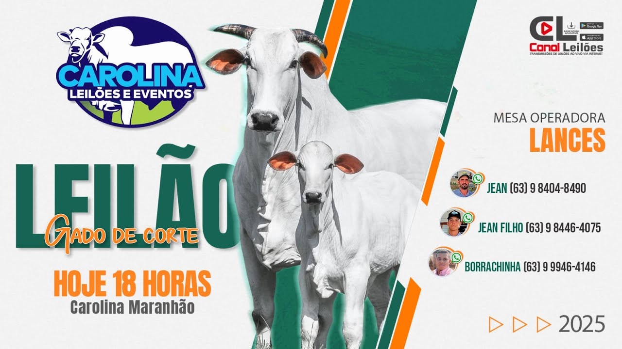 Canalleiloes.com | LEILÃO ESPECIAL CARGA FECHADA CAROLINA LEILÕES | CAROLINA-MA 17/01/2026