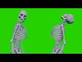 Skeletons Laughing from their Evil plan FREE Greenscreen ◈ Halloween spooky VFX