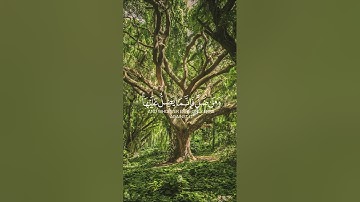 سورة الإسراء-Sorah  Al-Israa #قرآن #قران_كريم  #quran #الله #allah #محمد #الحمدلله #سورة #muhammad
