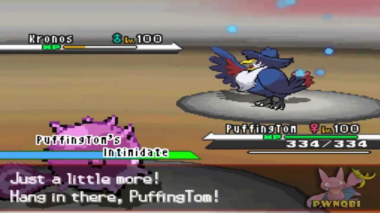 Pokemon Black / White Narrated Wi-Fi Battle #15 Vs. Lokiman42