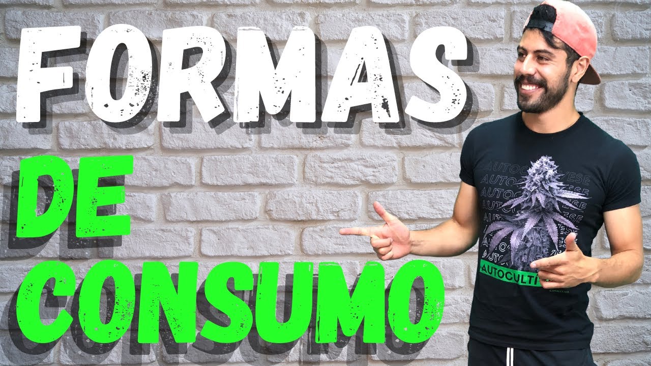 BONGS, COMESTIBLE, PIPA o CHURRO I FORMAS de CONSUMO I ¿Cual es tu favorita? I Educannabis