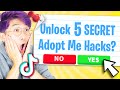 TOP 5 WORKING TIKTOK HACKS In ROBLOX ADOPT ME! (LankyBox BEST OF Adopt Me Hack Compilation 2020!)