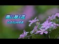 雨に咲く花 たかだみゆき【cover】