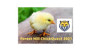 Forest Hill CLC ChicQuest Livefeed 2021