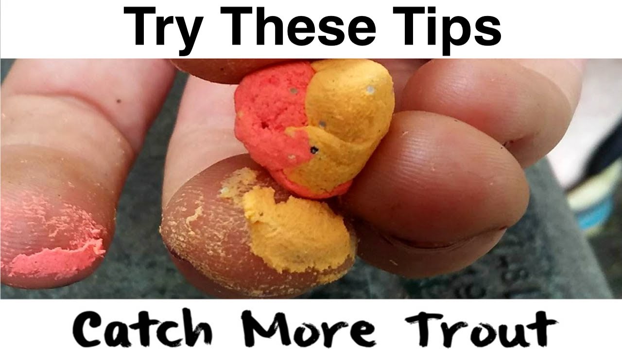 Top 5 Trout Fishing Powerbait Mice Tails Tips 