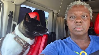 VANLIFE: I'm 54 & I can't afford vanlife anymore!