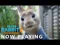 PETER RABBIT 2: THE RUNAWAY - Peter Is In The Theater