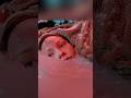 This Woman Was Frozen For 10 000 Years 