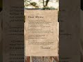 Marriage Vows Example | Standard Wedding Vows, Classic Wedding Vows &amp; Bride Vows