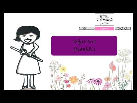 Die Winterreise D. 911-Irrlicht (Flute/MR) - Schubert