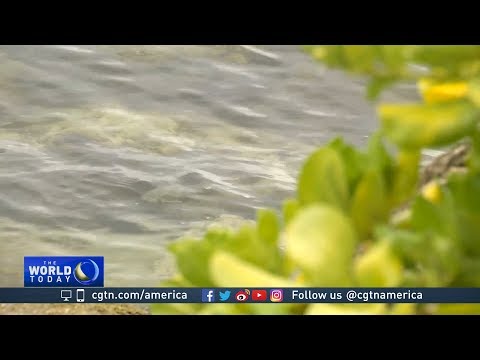 Miami Coping With Rising Sea Level And Land Sinking