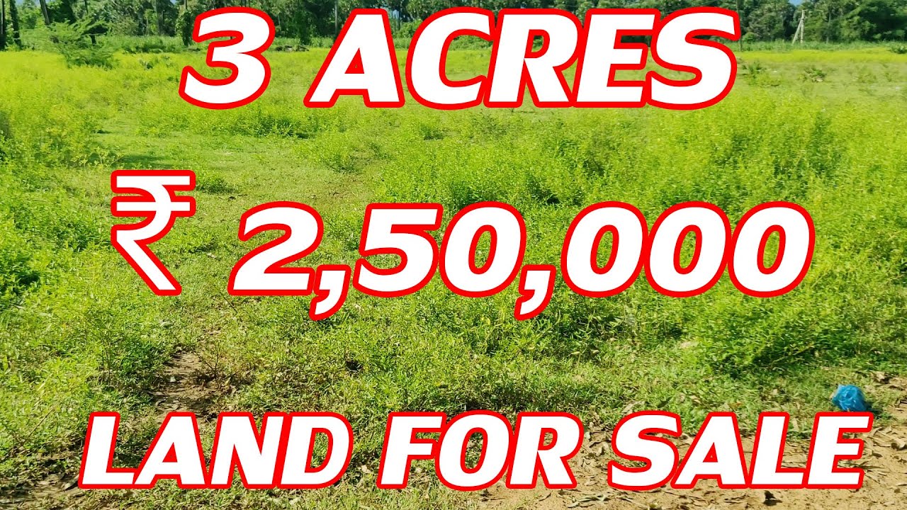 3 ACRES NON CULTIVATION LAND FOR SALE ₹ 2,50,000 / LOW COST PER