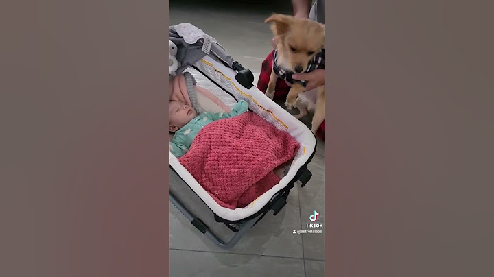 Titán conociendo a la escuincla