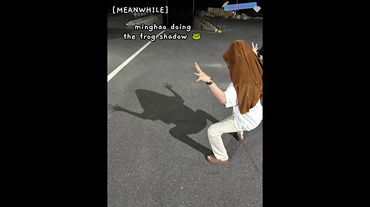 seventeen joined the animal shadow trend 😭🐈‍⬛🐶🦴🐸 #seventeen #seungkwan #dk #dokyeom #the8