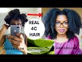 4 WAYS to use ALOE VERA to ACCELERATE HAIR GROWTH 4C| ALOE VERA OIL FOR HAIR GROWTH| LEAVE IN & MORE