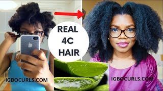 4 WAYS to use ALOE VERA to ACCELERATE HAIR GROWTH 4C| ALOE VERA OIL FOR HAIR GROWTH| LEAVE IN & MORE