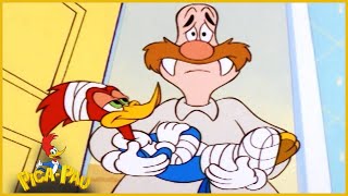 Pau em Portugu s No Topo Episodio Completo de Pica Pau Desenhos Animados