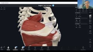 MSK Ultrasound - Shoulder - Theory and demonstration