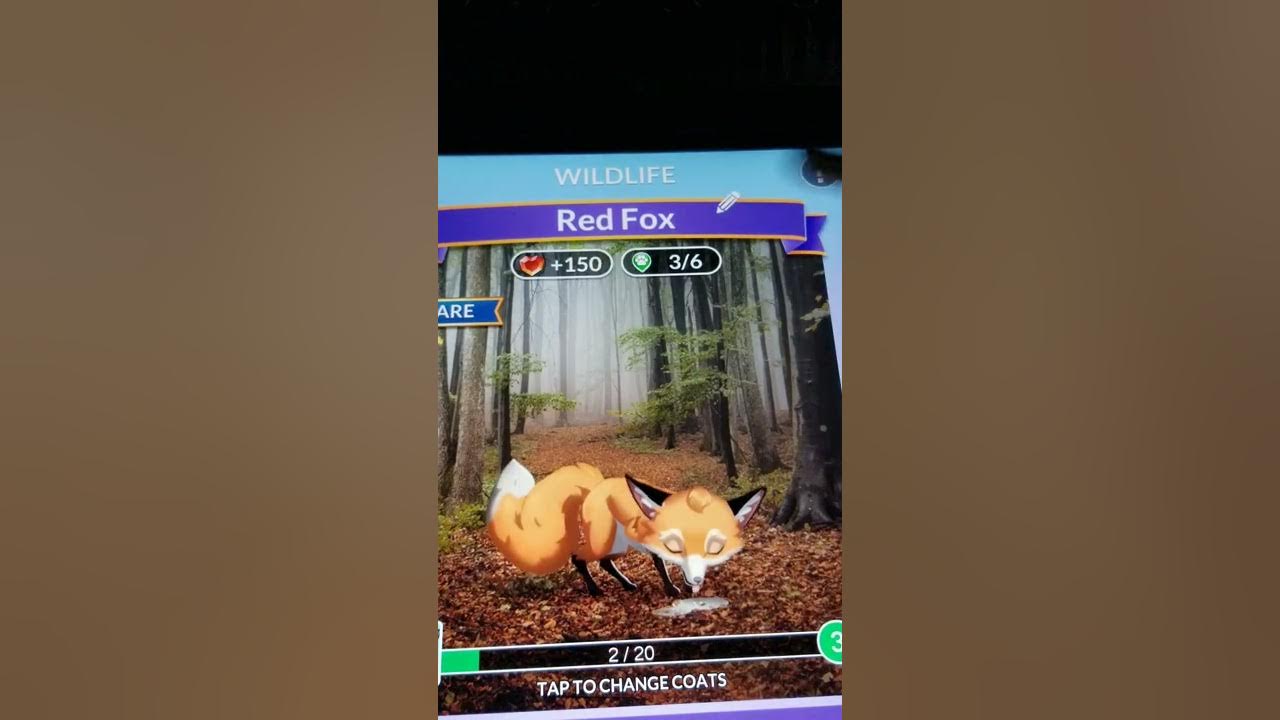Watch How Wordscapes Wildlife finish Now Option Eats Your Coins wildlife-egg-wordscapes-youtube