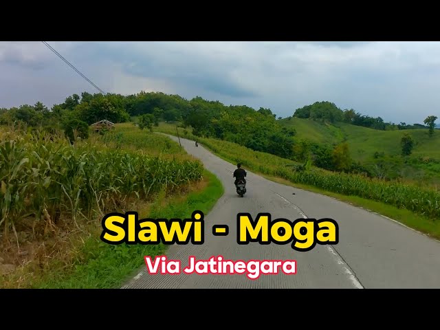 Jalur Slawi - Moga Via Jatinegara class=