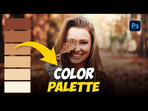 Video: Hoe krijg ik het kleurenpalet in Photoshop?