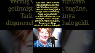 Tarkanin Doğum Hi̇kayesi̇: Anneli̇k İçgüdüsü Bi̇r Muci̇ze Yaratti Resimi