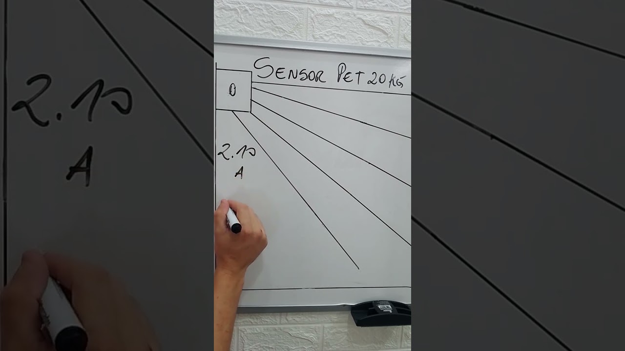 Sensor de alarme pet saiba altura correta de instalar