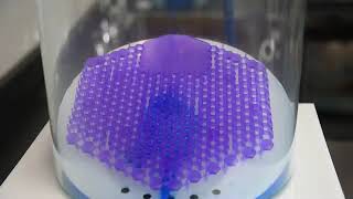 Wave 3D Urinal Screen