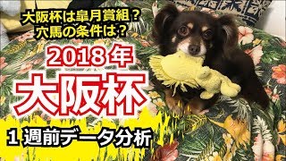 【1週前G1予想】2018年 大阪杯の1週前データ分析【星野るり】