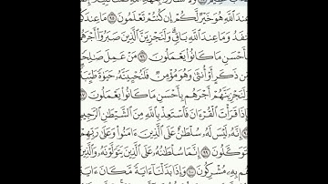 سورة النحل 94-102 (٢٧٨)     Sheikh Anas AlHibri