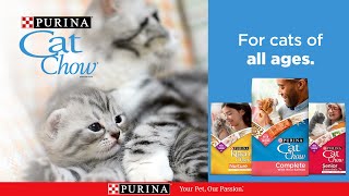 Purina Cat Chow for Cats of All Ages