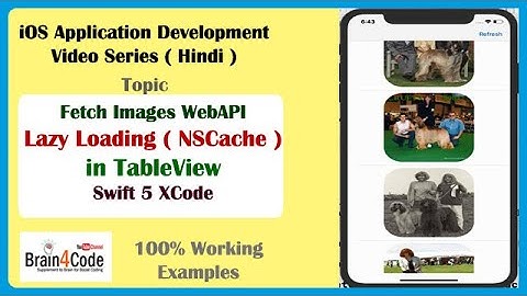 Implement Lazy Loading of Images in UITableView from WebAPI in Swift 5 XCode | Hindi | NSCache iOS