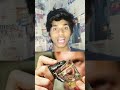 The most dangerous poison on the earth. सबसे खतरनाक जहर।🤯 #viral #amazingfacts #trending #news #new