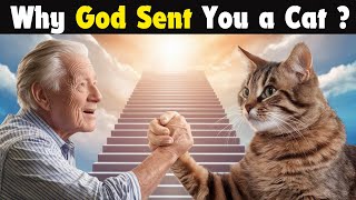 Why GOD Sent You a Cat -  Unveiling Feline Spiritual Significance