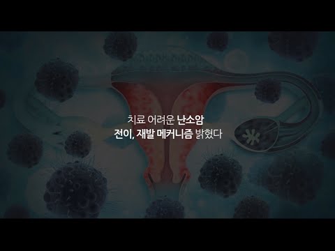 난소암 재발 전이는 어떻게 일어날까요?