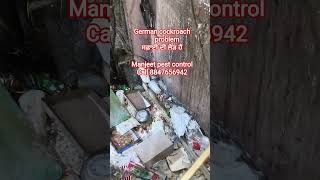 German cockroach 🪳 treatment # #pestcontrol #manjeetpestcontrol #cockroach