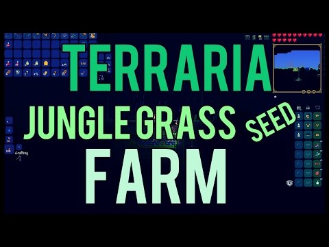 TERRARIA - EASY JUNGLE GRASS SEED FARM 