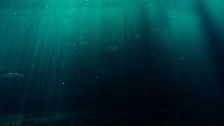 Ammil - The Tides  Ambient Music