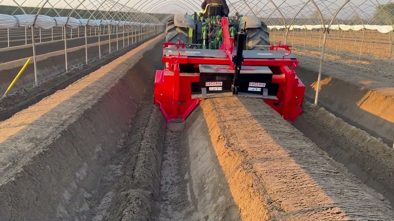 Butteuse asperges Bed former baulatrice AS2 Cucchi