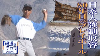 アメリカ日系人 80年越しの“プレイボール” 「お前はアメリカ人じゃない」11万人が強制収容された歴史